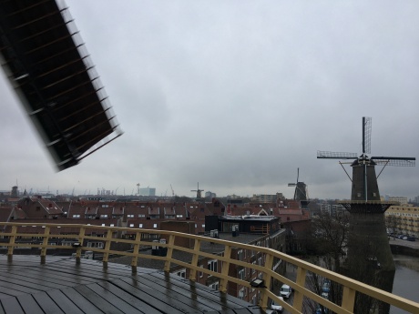 The stelling of De Nieuwe Palmboom offers a fantastic vista of Schiedam's other mills!