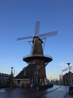 Molen De Roos, currently out of action