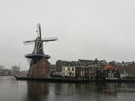 A scenic location in the heart of Haarlem