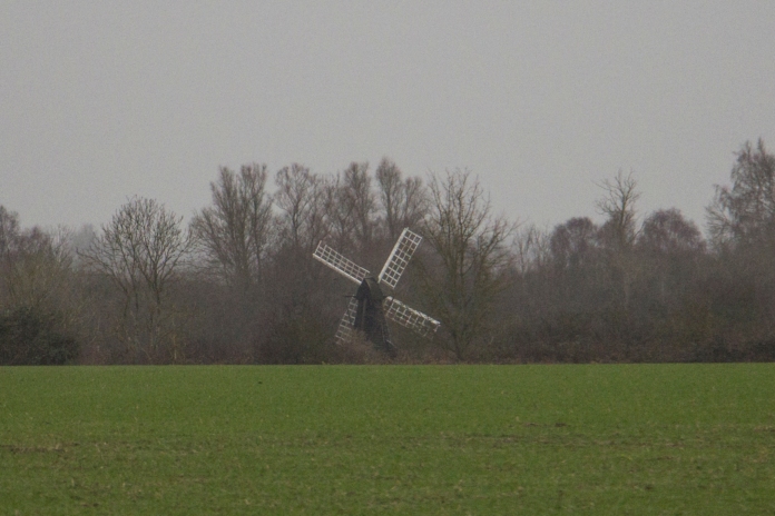 Wicken Fen from a distance through the drizzle
